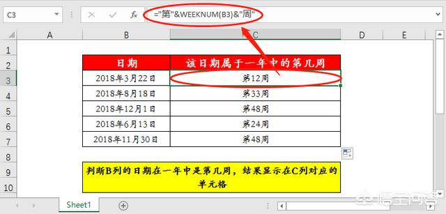 如何在Excel中查询某一个日期在一年的第多少周中？-天天办公网