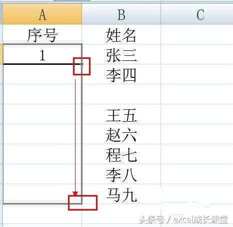 表格编号怎么自动排列下来（excel中自动序号函数）-天天办公网